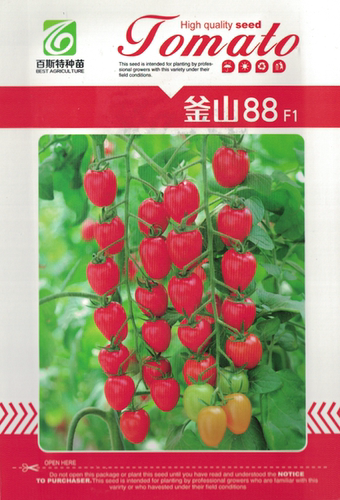 釜山88玲珑小番茄种子香气浓郁
