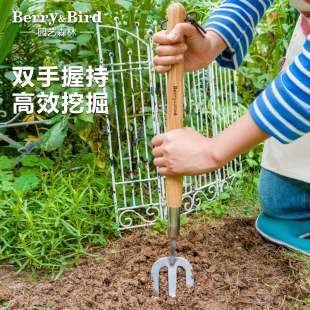 Berry&Bird园艺森林户外种花工具挖掘松土移植不锈钢叉子中柄小型