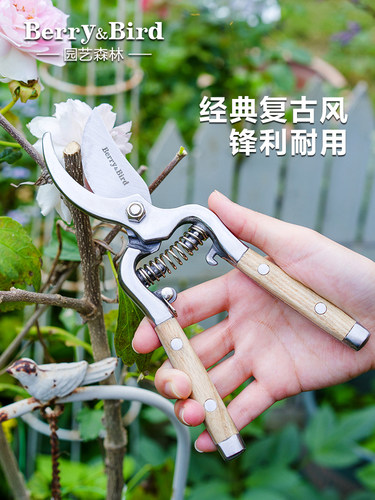 浆果和鸟类园艺森林园艺修剪剪刀粗枝特种果树盆花剪刀不锈钢