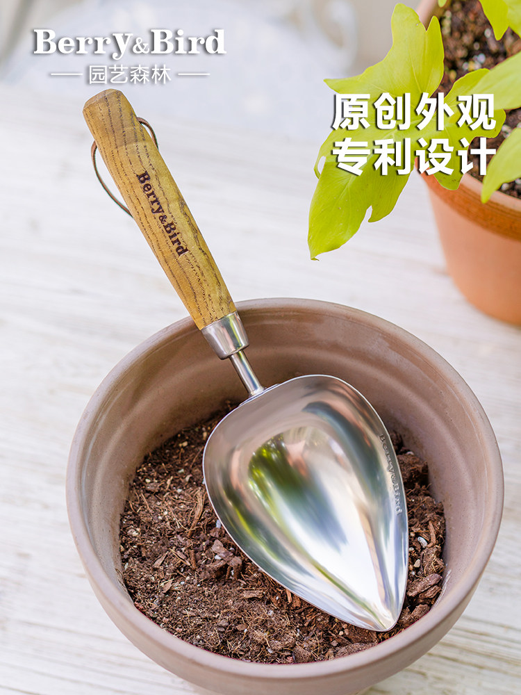 浆果和鸟类园艺森林工具铲不锈钢小型家用盆栽植物，专门用于土壤