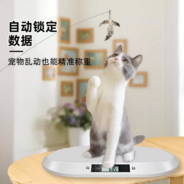 Товары от 小白秤厂家直供