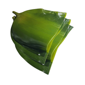 5斤山东荣成盐渍海带头厚海带海藻新鲜海菜海带大头根块整箱商用