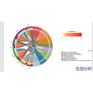宏基因组数据分析/16s测序数据分析/基因组数据分析/重测序数据