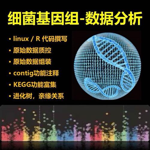 细菌基因组测序数据分析/组装/注释/基因预测/KEGG/GO富集/进化树