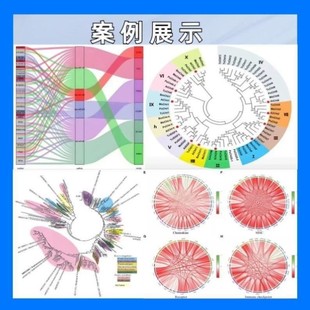扩增子16s18SITS宏基因组测序数据分析微生物多样性测序基因组服