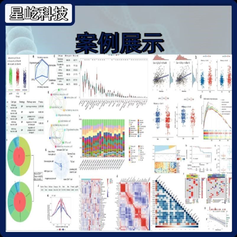 生信分析单细胞测序geo toga 数据库挖掘网络药理生物信息学服务