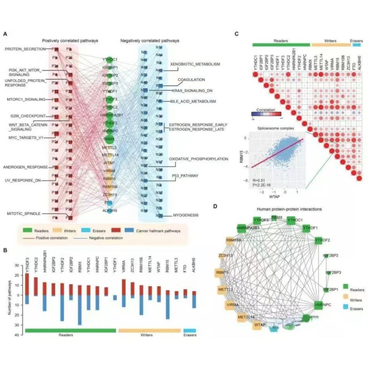 生信分析医学TCGA GEO数据库挖掘2-10分单细胞测序生信分析服务