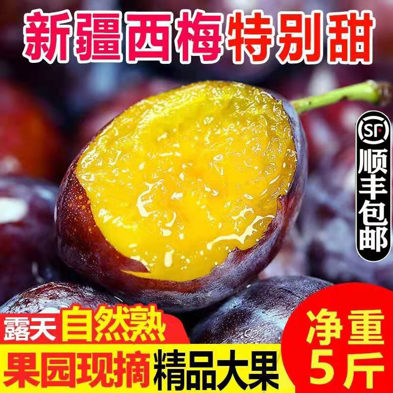 顺丰正宗新疆西梅新鲜鲜果5斤大西梅