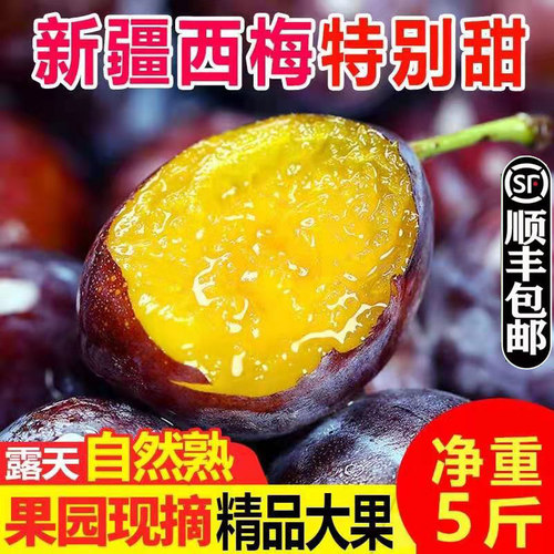 顺丰正宗新疆西梅新鲜鲜果5斤大果水果当季甜西梅现摘喀什李子