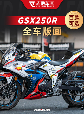 适用铃木GSX250R贴花全车版画贴画拉花车身版花装饰贴纸改装配件