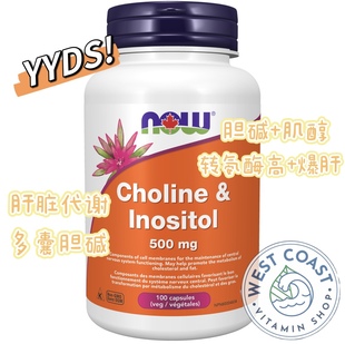Inositol 100粒 Choline 诺奥胆碱肌醇 NOW 肌醇 500mg 胆碱