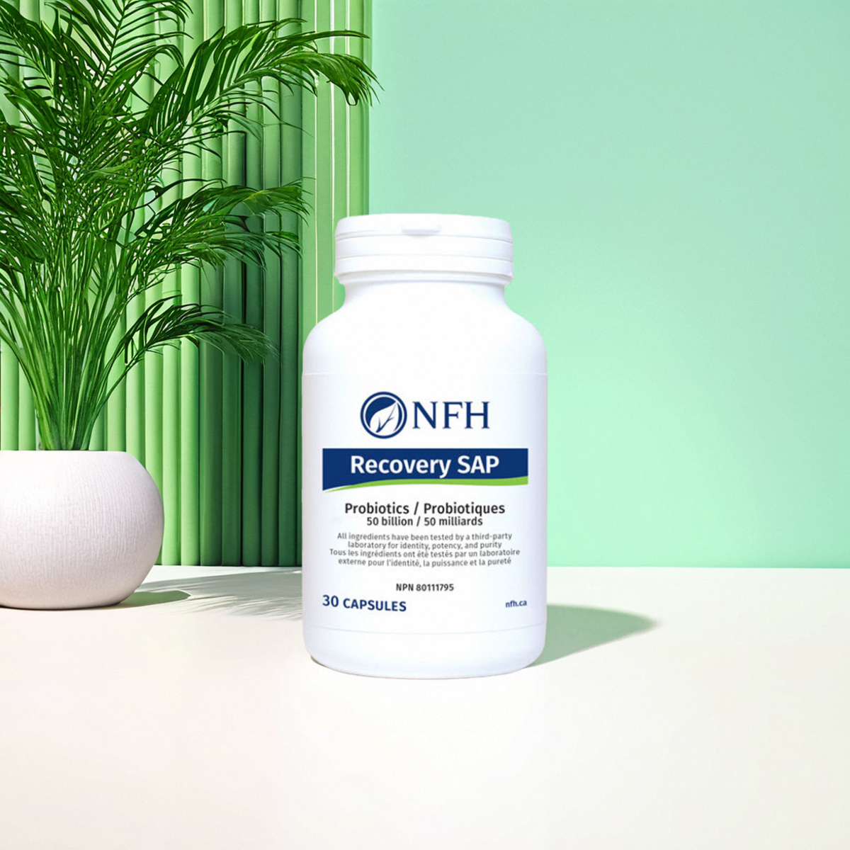 现货 加拿大 NFH Recovery SAP 益生菌 500 亿 胃肠健康支持