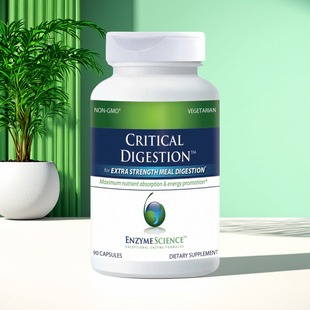 Digestion关键消化酶 Critical 90粒 Science Enzyme