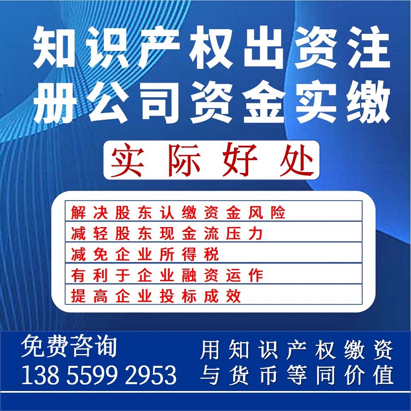 知识产权无形资产验资入股出资实缴注册资本评估专利软著入资实缴 商务/设计服务 知识产权服务 原图主图