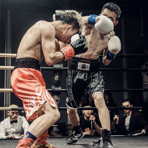 流星职业正统剪裁deepfear拳击裤