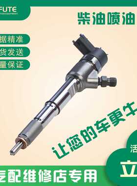 0445110794  喷油器  DLLA140P2281油嘴  适用江淮潍柴柴油发动机