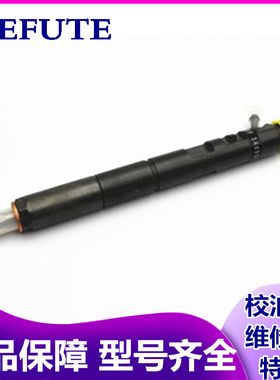 喷油器总成EJBR04701D适用德尔福 双龙享御喷油嘴 双龙爱腾 5301D