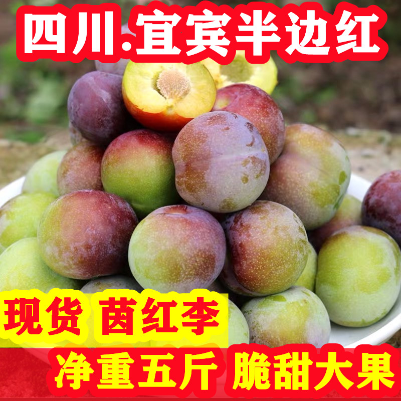 屏山县茵红李李子五斤大果