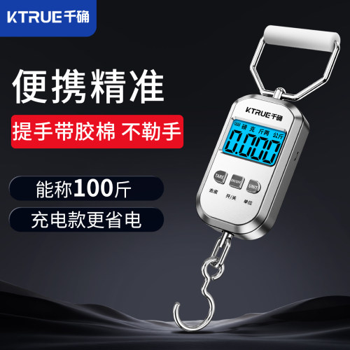 便携式精准手提电子秤
