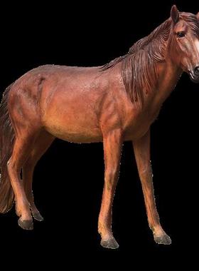 仿真马摆件玻璃钢骏马动物大型雕塑户外草坪庭院子装饰公园林景观