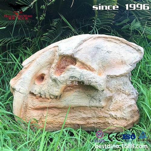 华龙仿真恐龙化石头骨架动物化石收藏摆件博物馆恐龙科普展览场