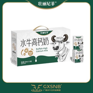 广西壮丽尼菲水牛高钙奶200ml正品 儿童学生早餐奶饮品