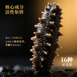 百年渔港 海参卵低聚肽粉 3g/袋*30  方便易吸收