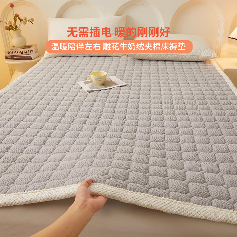 罗兰家纺牛奶绒保暖床褥垫