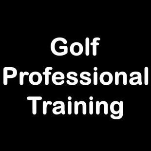 成人高尔夫室内挥杆练习家用初学者无声便携纠正姿势训练设备