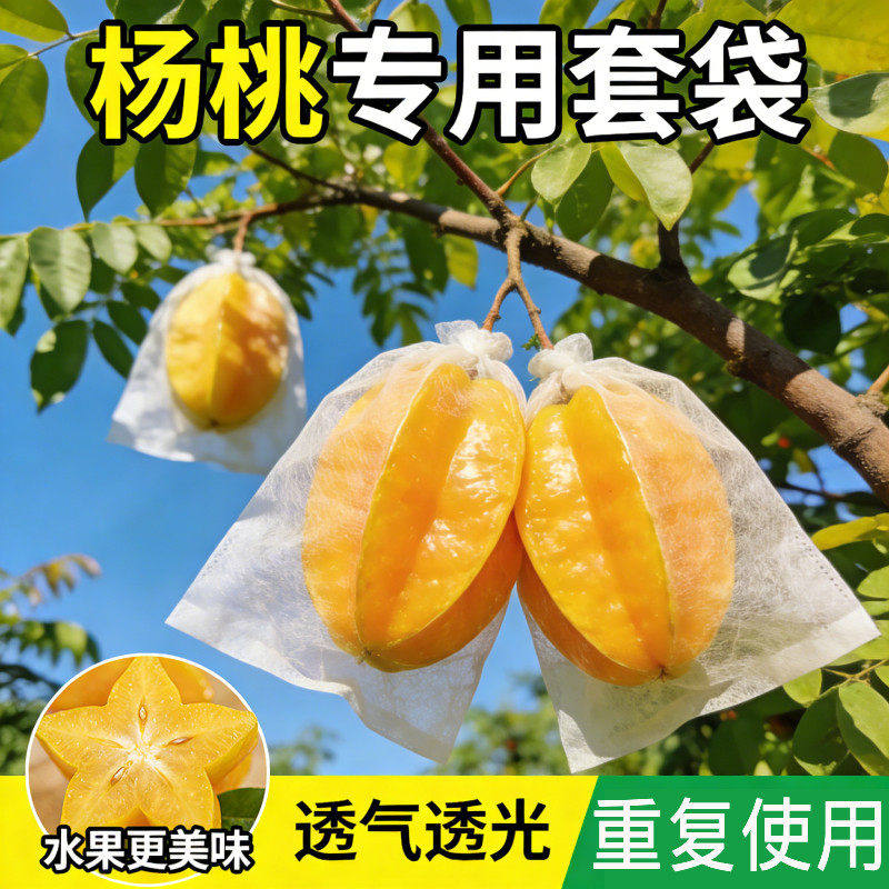 杨桃专用无纺布套袋防峰防虫水果套袋枇杷释迦果套袋透气保护神器
