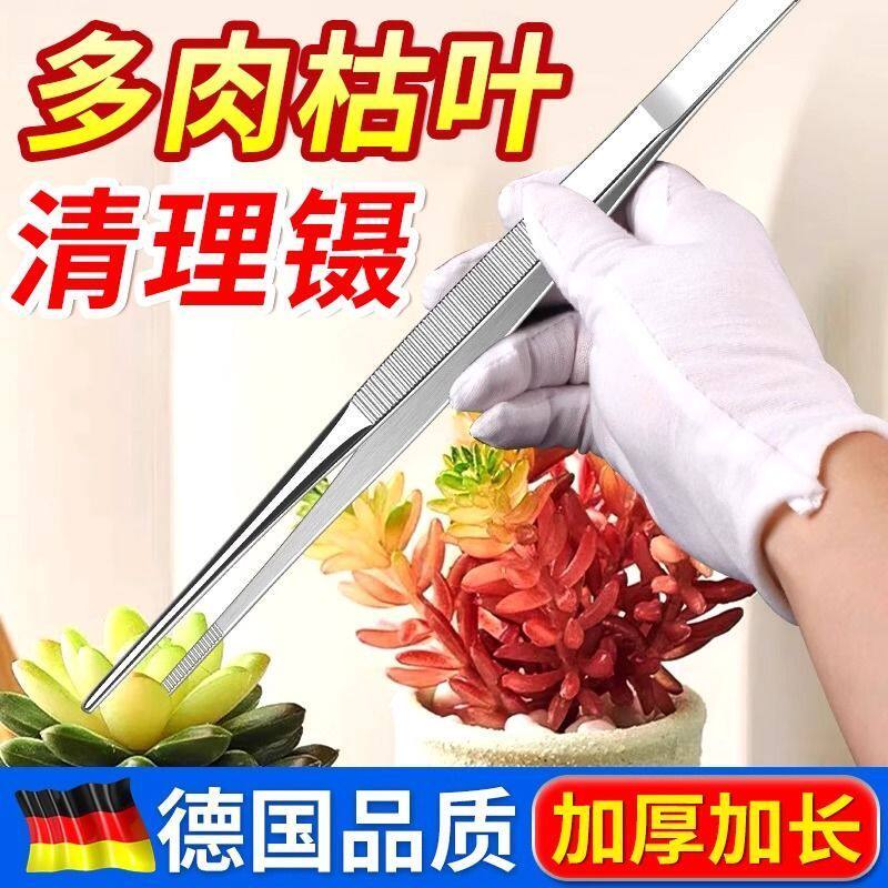 不锈钢镊子加长加厚大号取物夹子水草多肉工具带齿防滑大号镊子