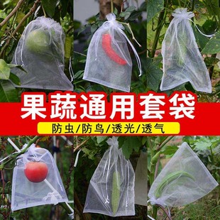 水果套袋防鸟通用袋瓜果防虫专用袋无花果枇杷葡萄桃子草莓网眼袋