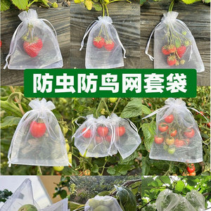 水果套袋防虫防鸟尼龙专用网袋葡萄桃子石榴草莓无花果透气网套小