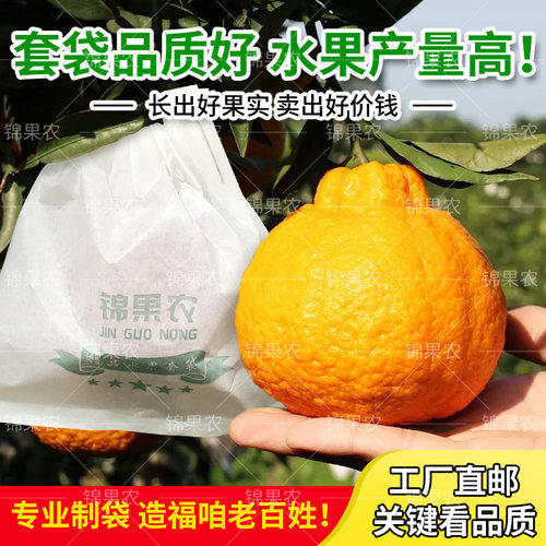 果园优选柑橘专用防虫防日灼套袋