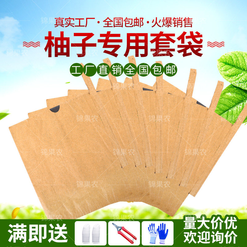 柚子套袋专用袋大串枇杷果袋套柠檬大袋防鸟防晒树上水果保护纸袋