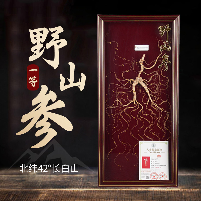 人参长白山人参野山参20年以上礼盒装带证书泡酒料节日送礼送长辈,传统滋补营养品,山参/野山参,淘宝优惠券,粉丝福利购,淘宝优惠卷