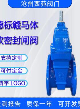丝杆德标GGG50赣马体带铜母软密封铸铁手轮暗杆闸阀二洛杠Z45X