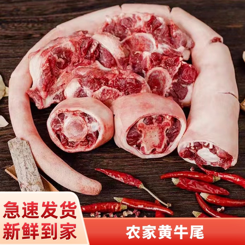 新鲜整根牛尾巴牛尾骨辅食