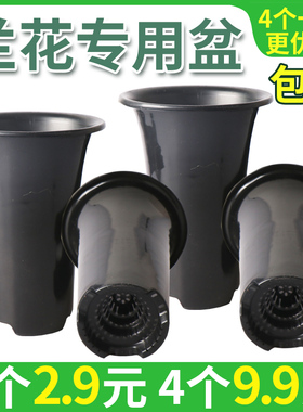 塔型兰花专用花盆塑料兰花盆塑黑色透气排水兰盆绿萝绿植花卉盆栽