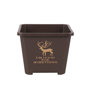 多肉花盆景天小方盆景天盆多肉白方塑料黑方印花花卉绿植育苗盆