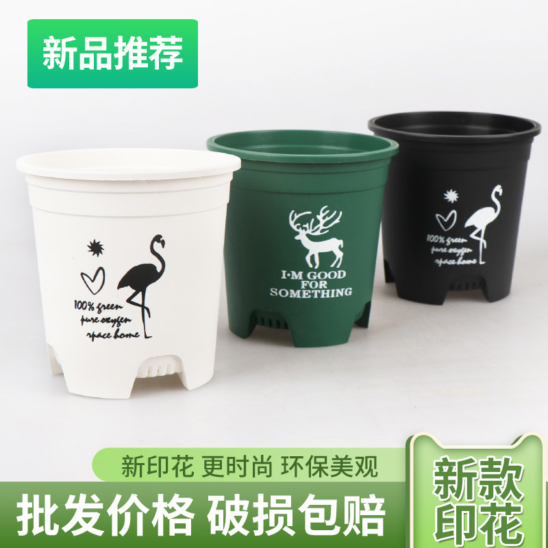 加仑盆印花塑料花盆室内阳台月季图片