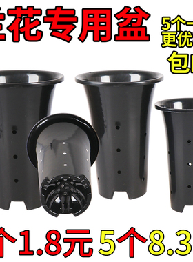 径里兰花专用花盆塑料兰花盆塑黑色透气排水兰盆绿萝绿植花卉盆栽