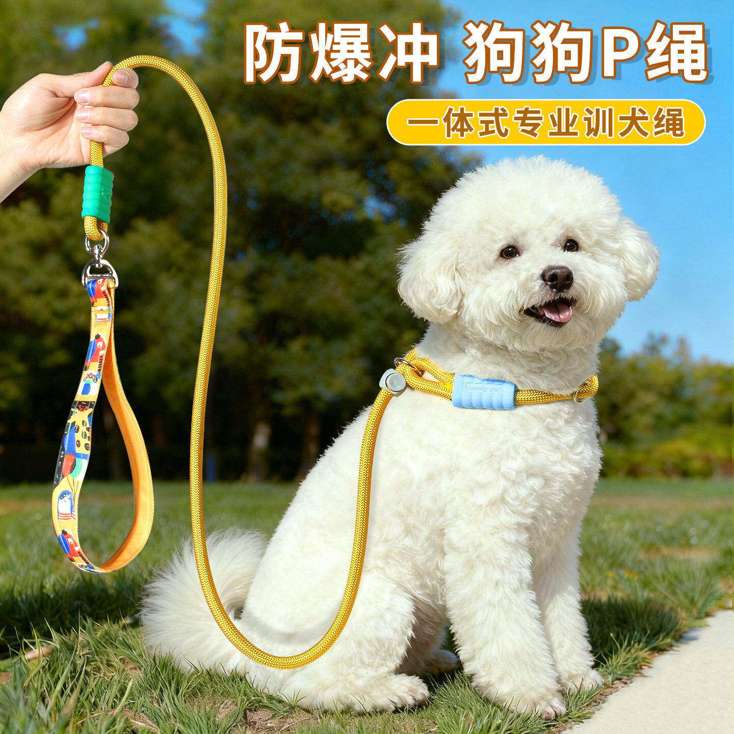 狗狗牵引绳p绳遛狗链防爆冲小中大型犬训犬绳一体式耐用宠物用品