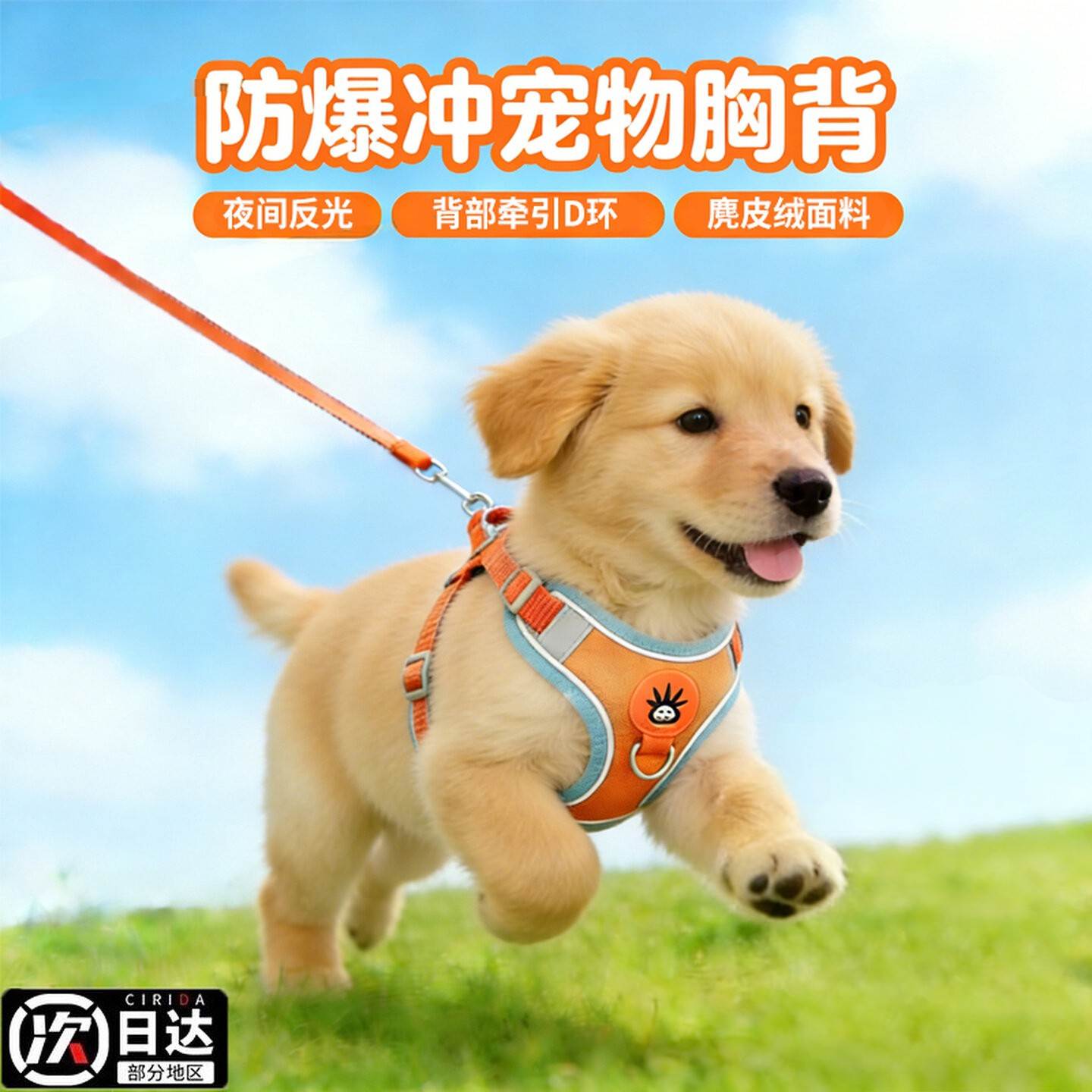 狗狗牵引绳背心式宠物胸抱婴袋遛狗绳中小型柴犬柯基比熊泰迪狗链