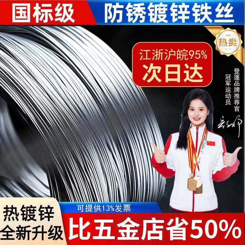 防锈镀锌铁丝线家用8 10 12 14 16 18号园艺搭大棚不生锈热镀钢丝图片