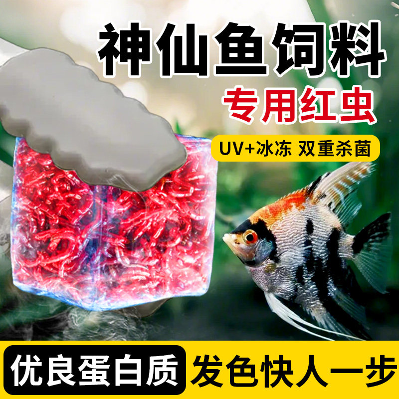 神仙鱼饲料六角恐龙蝾螈乌龟鱼食红虫冰冻牛心汉堡开口红线虫水蚤