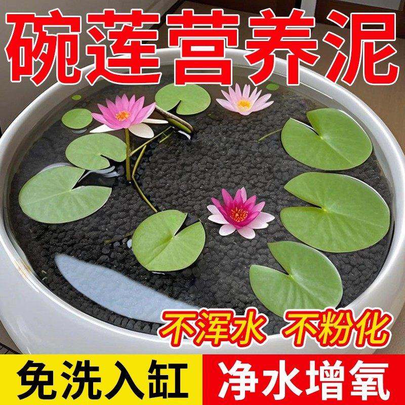 碗莲水草泥睡莲土水培泥高肥力不臭水浑水荷塘泥水培铜钱草陶粒泥