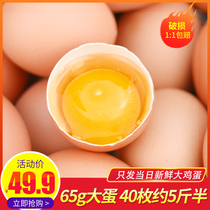 昌鑫缘新鲜整箱批发正宗普通生食农家散装鲜鸡蛋40枚装约五斤半