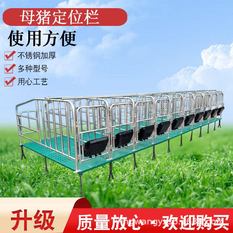 落地式母猪产床猪用定位栏限位栏养猪场带食槽养猪设备母猪定位栏