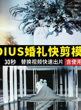 EDIUS婚礼快剪片头30秒ED模板婚庆视频录像调色朋友圈花絮预告MVa